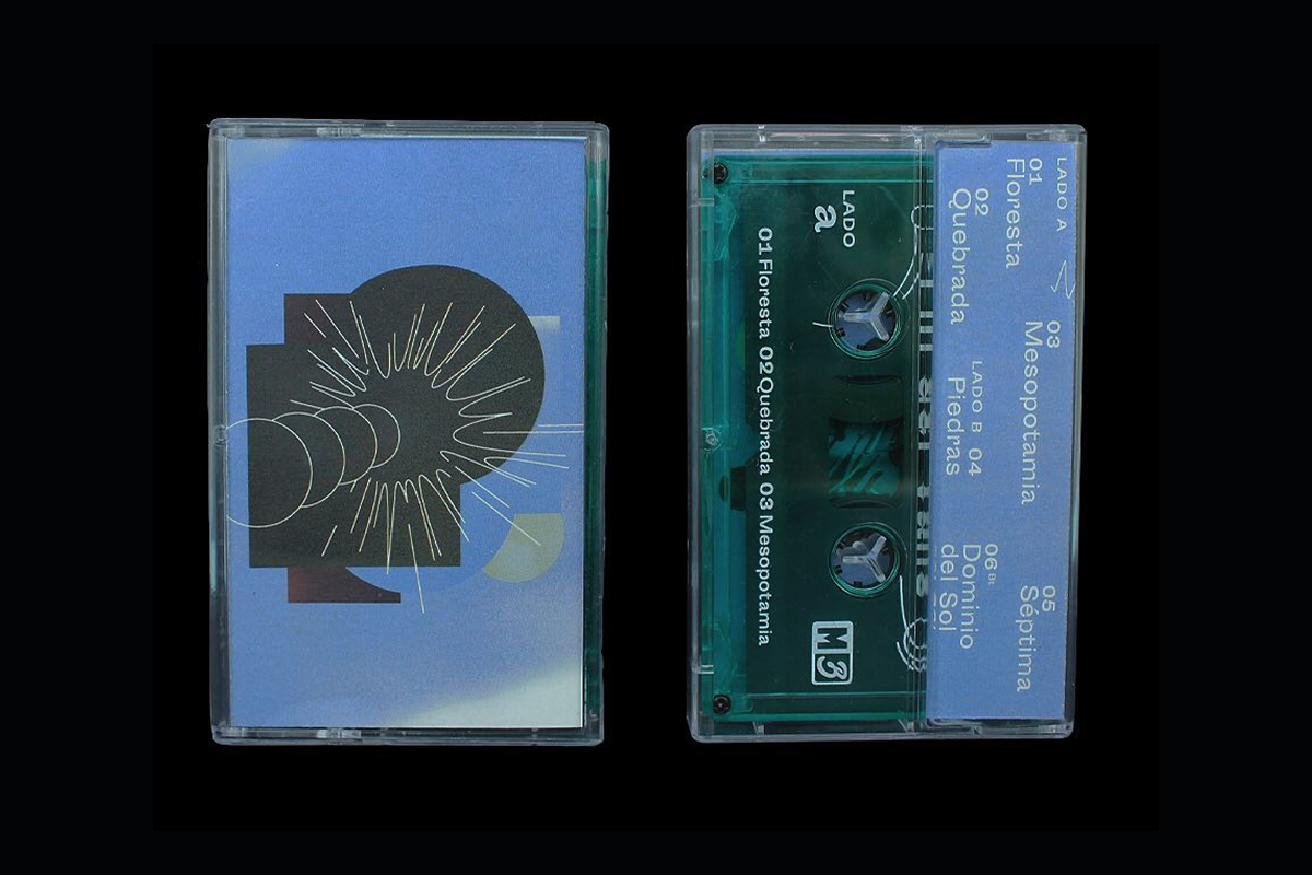 Imagen del Proyecto 1 - Desarrollo 1